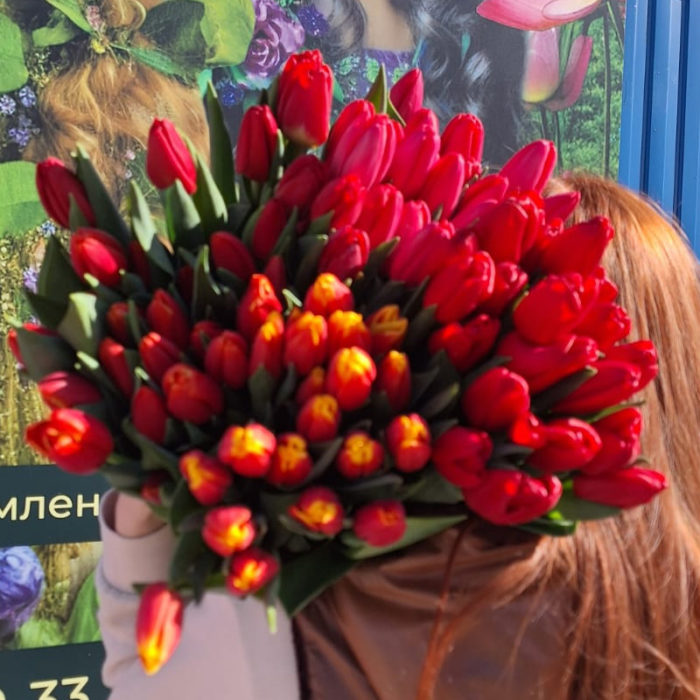 Тюльпаны